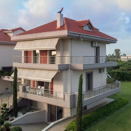 "Aeolos" Luxury Villa 普雷韦扎 外观 照片