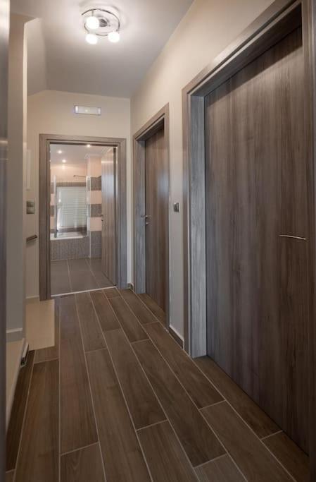 "Aeolos" Luxury Villa 普雷韦扎 外观 照片
