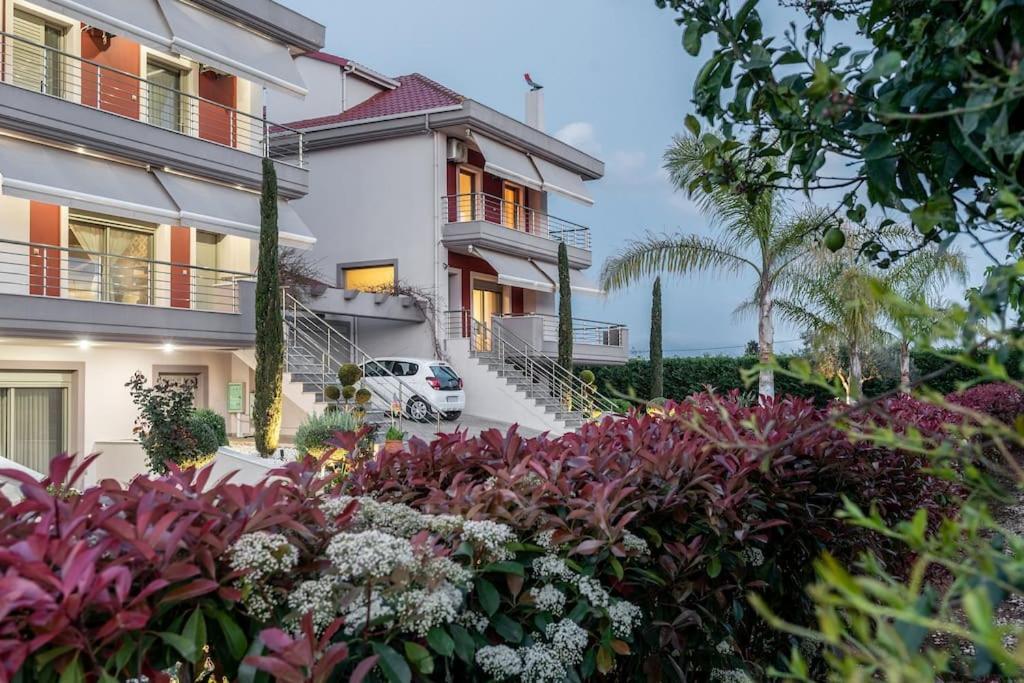 "Aeolos" Luxury Villa 普雷韦扎 外观 照片